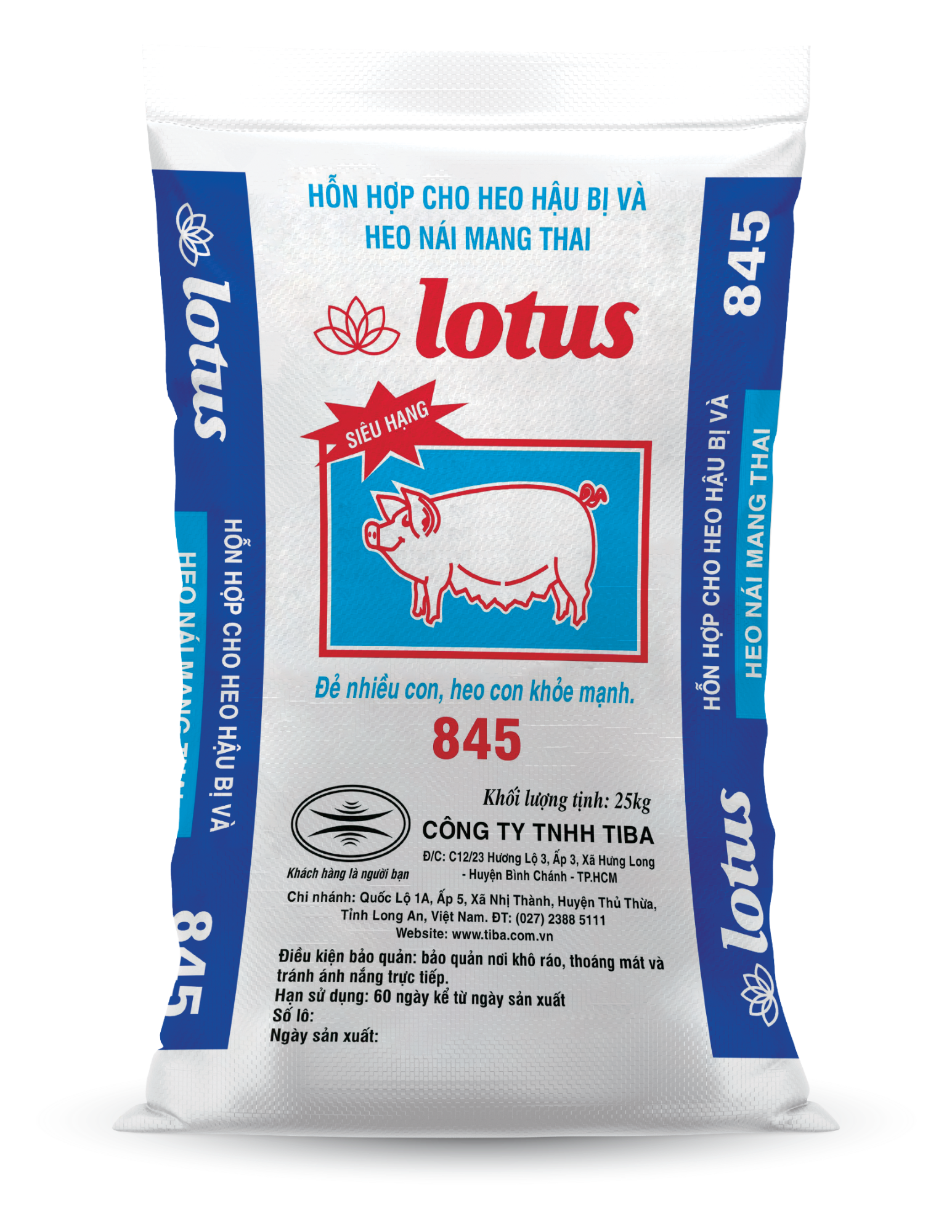 HỖN HỢP CHO HEO HẬU BỊ VÀ HEO NÁI MANG THAI