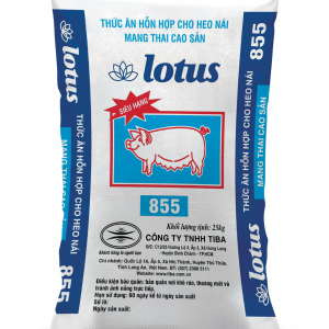 THỨC ĂN HỖN HỢP CHO HEO NÁI MANG THAI CAO SẢN