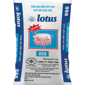 THỨC ĂN HỖN HỢP CHO HEO NÁI NUÔI CON